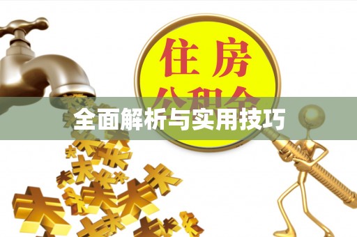 讷河全面解析与实用技巧