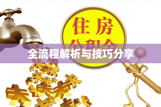 讷河全流程解析与技巧分享